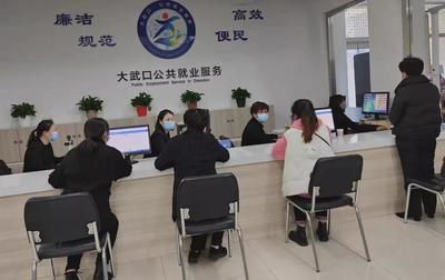 一超六特 务实苦干 2021年大武口区就业创业工作成效显著